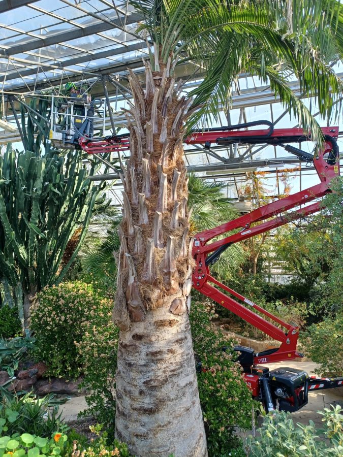 La Hinowa LightLift 15.70 al lavoro